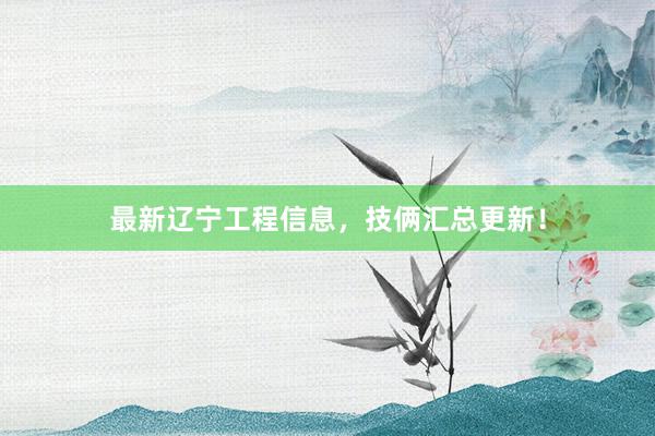 最新辽宁工程信息，技俩汇总更新！